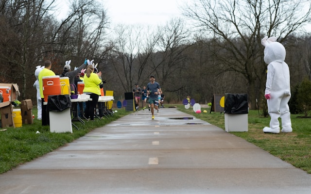 Kontakt z zespołem Mellavladia